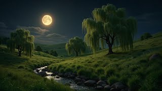 I Am Here...inside Of You Mountainrain Transmission