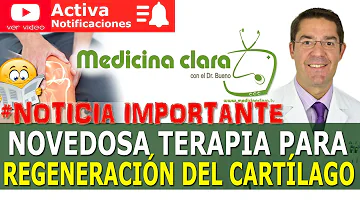 ¿Qué vitamina forma cartílago?