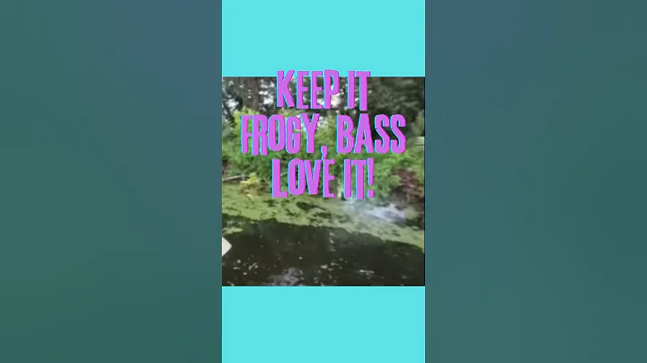 The Frog, The Lure That Makes Them Explode! #shorts #bassfishing #outdoors