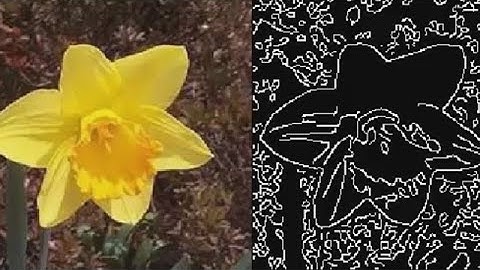 Edge Detection with MATLAB