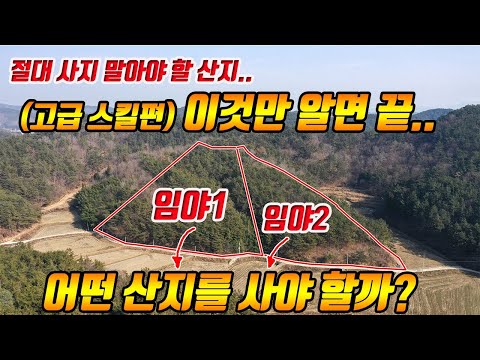   고급스킬 부동산 고수들만 아는 임야 산지 매매 시 알아야 할 핵심 꿀팁 부동산재테크 전원주택 펜션 토지 전문 프로공인중개사 건축기사