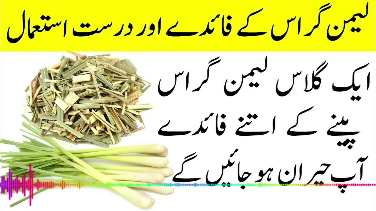 Lemon Grass Ke Fayde Lemon Grass Benefits in Urdu YouTube