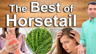 Using Horsetail Isn´t Weird  Amazing Horsetail Health Benefits and Contraindications You Didnt Know