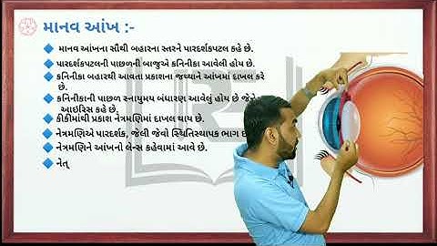 std 10 science ch 11 / માનવ-આંખ અને રંગબેરંગી દુનિયા / માનવ આંખ