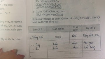 LTVC lớp 3  Ôn tập từ chỉ đặc điểm  Ôn mẫu câu  Ai thế nào