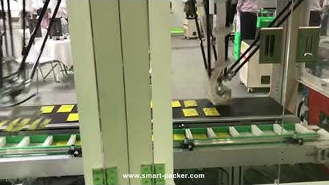 Spider robot hand bag sorting feeding convey machine running video