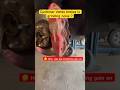 Customer States Brakes Grinding Noise Youtubeshorts Shorts Brakes Tips
