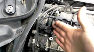 2015 M. Birželis 14 D.