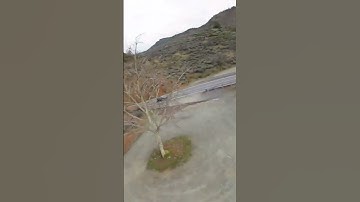 Flying through the trees #dji #avata #fpv #jeep