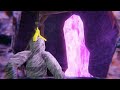 What Are the Caves Hiding From Us?