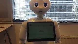 Pepper robot conversation test