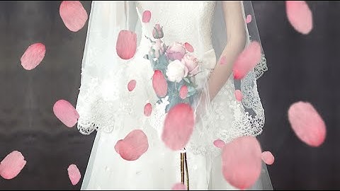 Practice to make the Amazing 3D Morph Parallax effect PowerPoint ..