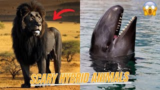 10 Scary Hybrid Animals that Actually Exist - Wild Facts
