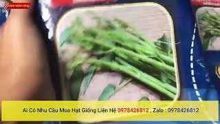 đại lý phân phối bán lẻ và bán sỉ hạt giống rau muống gói 1kg nhập khẩu thái lan nguyên bao bì, giao