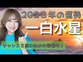 【九星気学】2023年運🌈一白水星✨「開運期☘️陰の努力で実力アップ❗️チャンスを受ける土台作りに集中してください😍👍」