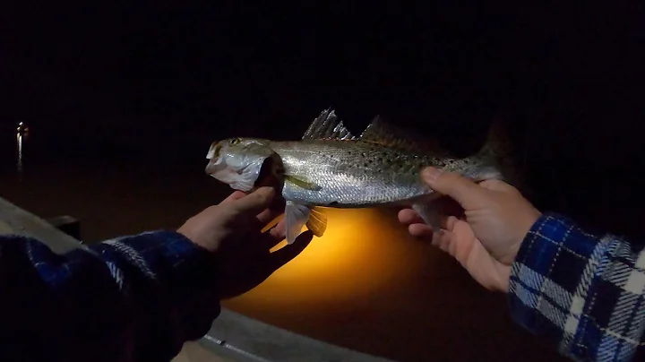 Freeport Texas Oyster creek park fishing