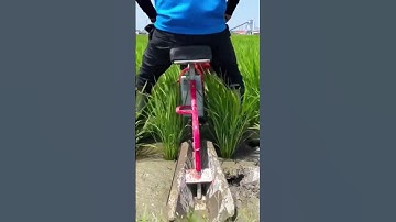 irrigation channel construction techniques in rice fields #farming #agriculture #shorts