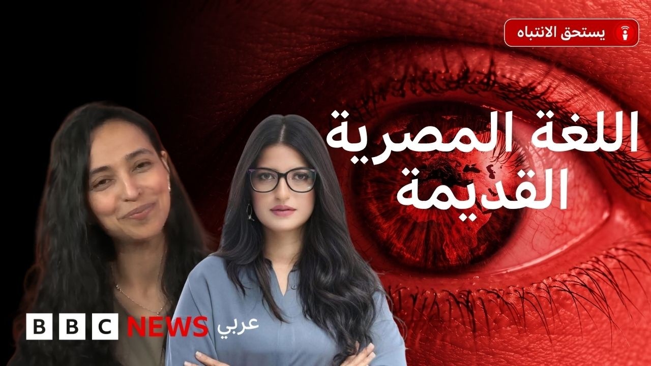 �� ��� ��� ���� ����� ��� ����� ����� ������� ������ɿ
 - نشر قبل 15 دقيقة