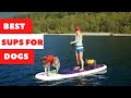 Top 5 Dog-Friendly Paddle Boards for 2022: Find the Perfect Fit for You and Your Pup