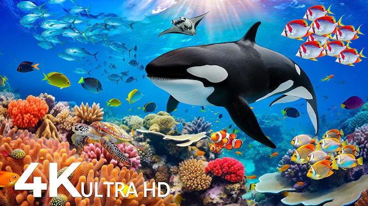 Underwater Wonders 4K | Marvel at Sea Animal in The Best 4K Aquarium 🐳 Relaxing Sleep Music #12