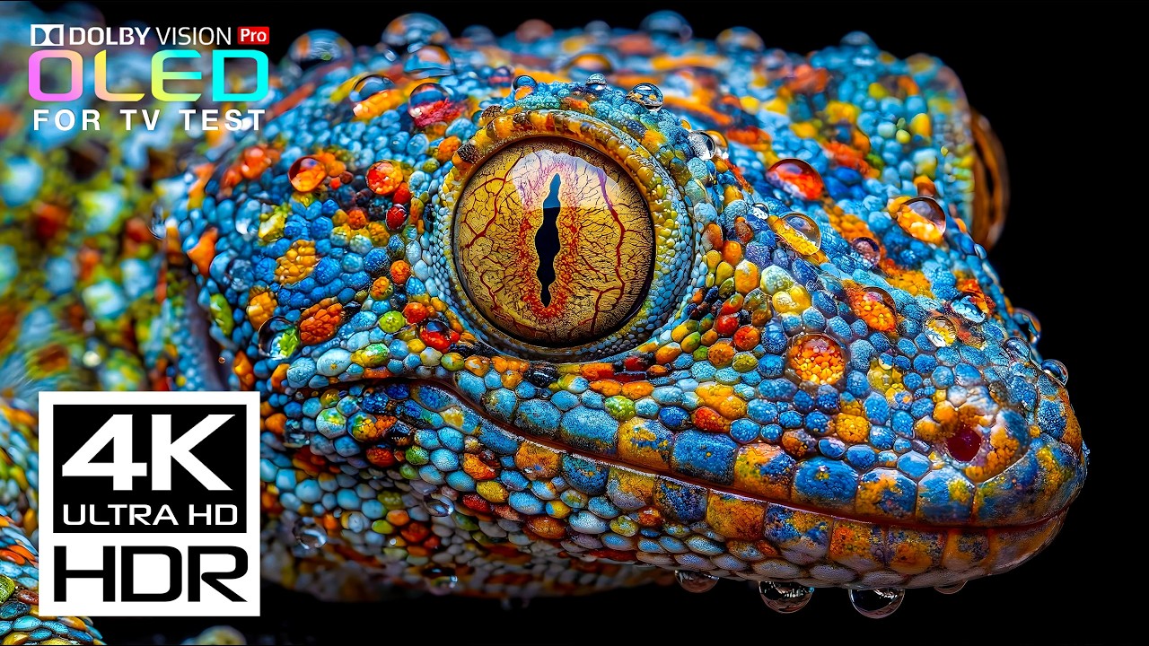 Incredible HDR in 4K Video ULTRA HD at Smooth 60fps | Dolby Vision ...