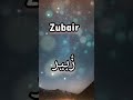 Beautiful Name Zubair Name Status WhatsApp Status Name Art Shorts