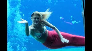 The Beautiful Mermaids of Weeki Wachee Springs by Class C Explorers 566 views 6 years ago 5 minutes, 9 seconds