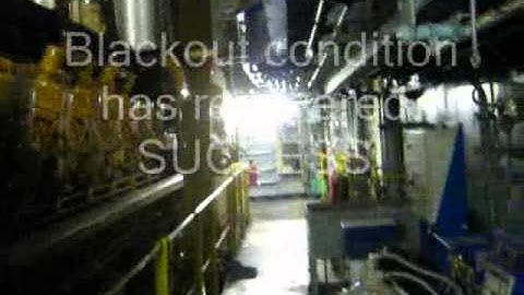 Blackout Recovery Test