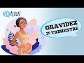 GRAVIDEZ TERCEIRO TRIMESTRE – ATÉ 41ª SEMANA DE GRAVIDEZ