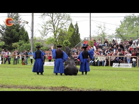 Hódmezővásárhelyi Állattenyésztési és