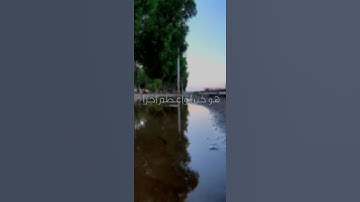 القارئ عبدالرحمن مسعد /  وما تقدموا لانفسكم من خير تجدوه عند الله...