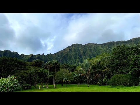 Video: Oahu'daki En İyi Botanik Bahçeleri