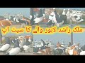 Malik rashid  lahor waly ka beautiful pigeons setup  all color pugeons 