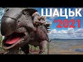 СВІТЯЗЬ 2021 | Тепла гліцеринова вода | Парк динозаврів