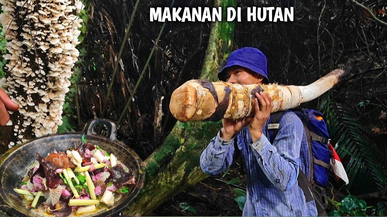 Sumber makanan di hutan, mengolah umbut langkap, jamur & bunga, menemukan buah endemik | Kang kumang