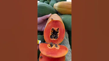 فاكهة البابايا Papaya Fruit 