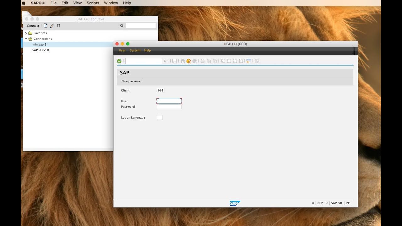 sap gui for java 7.20 rev 4