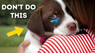 13 Things Dogs Hate That Humans Do