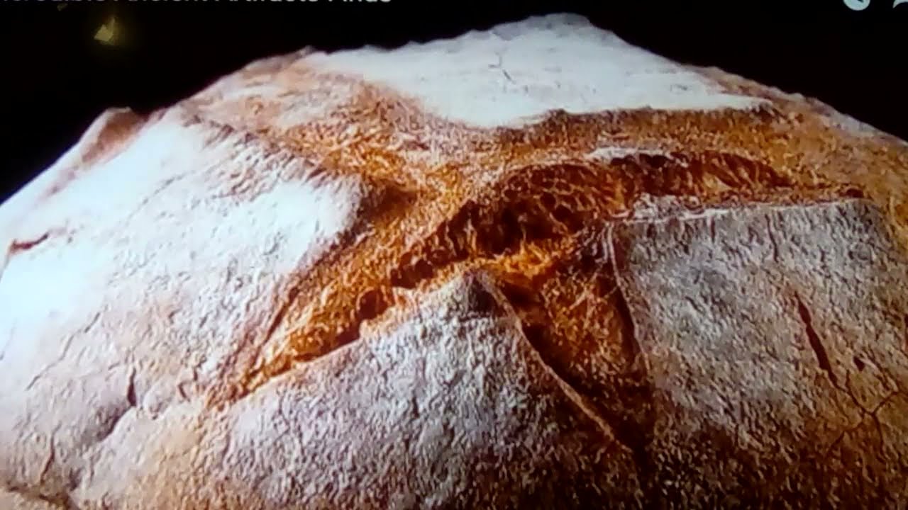 Bread: Natufians 14,400bc stone circles 2021
