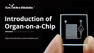 Introduction of Organ-On-A-Chip - Creative Biolabs