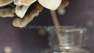 léon - pink (lyrics)