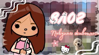 ~||Влог покупаю животного 🐈💓✨||~Тока бока~toca boca~