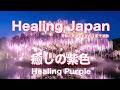 Purification: "Healing Purple". "Harmony Frequency" to Soothe the Autonomic