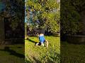 🤸🏼‍♂️Which is a handstand?🤸🏼‍♂️ #handstand #whichone