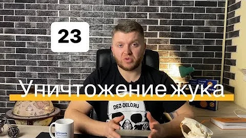 Жучки в крупе