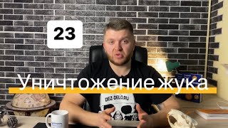 видео: Жучки в крупе картинка: Жучки в крупе