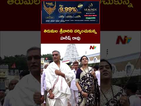 తిరుమల శ్రీవారిని దర్శించుకున్న హరీష్ రావు | Harish Rao Visits Tirumala | NTV Telugu