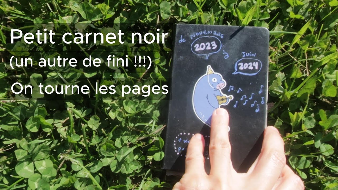 2e petit carnet noir fini :) - On tourne les pages - Sketchbook flip through