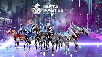 WELCOME TO METAFASTEST