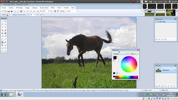 Tuto vidéo : Utiliser le tampon de clonage dans Paint.NET